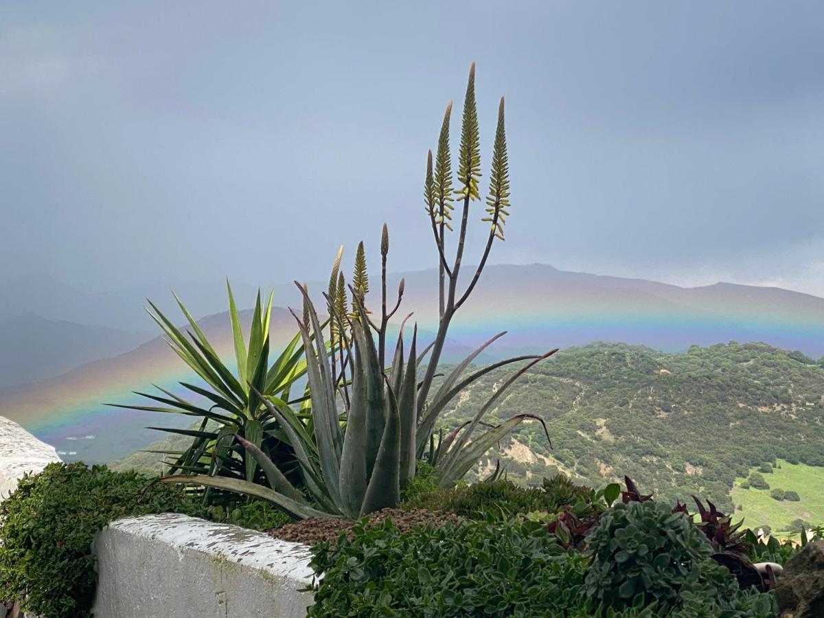 Vila Alojamiento Armenia Piscina Alcalá de los Gazules Exteriér fotografie